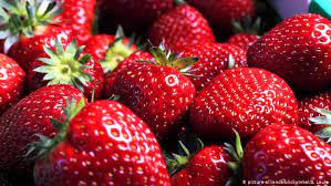 Accessories,air freshner,burnig oil,oil,poop spray,scented oil,smell good,spray